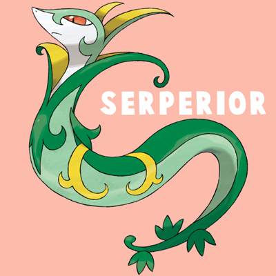 How to Draw Serperior from Pokemon in Simple Step by Step Drawing Tutorial