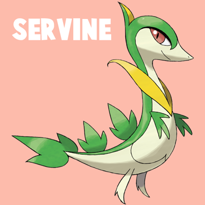 How to Draw Servine from Pokemon Step by Step Drawing Tutorial