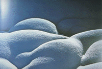 Form, Shape and Space