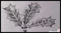 How to Draw Christmas Holly Leaves