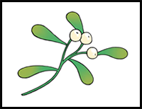 How to Draw Mistletoe