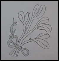 How to Draw a Mistletoe (Christmas Ornament)