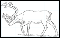 How to Draw a Reindeer