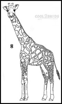 how to draw a giraffe