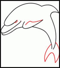 how to draw a dolphin