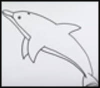 how to draw a dolphin