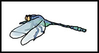 How to Draw a Dragonfly
