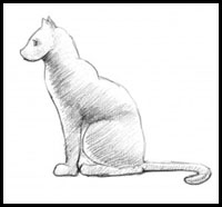 how to draw a cat