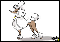 how to draw a poodle step by step