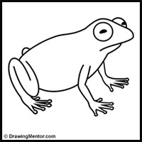 how to draw a frog