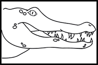 How to Draw an Alligator Face in 10 Easy Steps