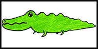 How to Draw an Alligator for Kids