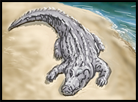 How to Draw an Alligator