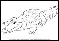 How to Draw a Crocodile