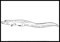 How to Draw a Black Caiman