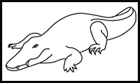 How to Draw a Nile Crocodile in 7 Easy Steps