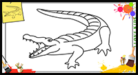 How to Draw a Crocodile