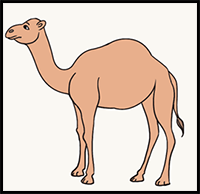 How to Draw a Camel