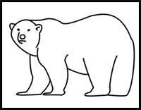 How to Draw a Polar Bear
