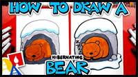 How To Draw A Hibernating Bear