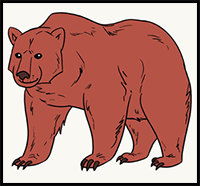 How to Draw a Bear