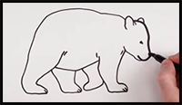 How to Draw a Bear Easy | Animals Drawings for Beginners