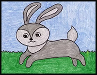 How to Draw a Rabbit