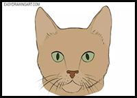 How to Draw a Cat Face
