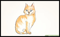 How to Draw a Cat