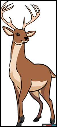 How to Draw a Deer