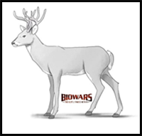 Deer Drawing Guide: 7 Steps for Beginners [Video + Images]