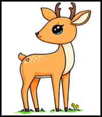 How to Draw a Deer