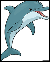 How to Draw an Easy Realistic Dolphin