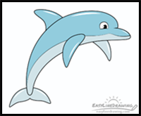 How to Draw a Dolphin Step by Step