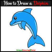 How to Draw a Dolphin