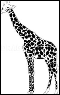 How to Draw a Giraffe