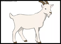 How to Draw a Goat