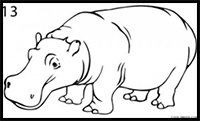 How to Draw a Hippo
