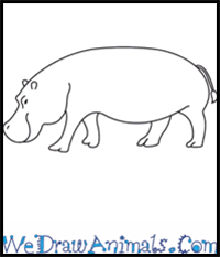 How to Draw a Hippopotamus