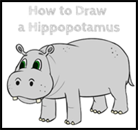 How to Draw a Cartoon Hippopotamus