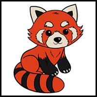 How to Draw a Red Panda