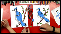 How to Draw a Blue Jay