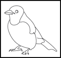 How to Draw a Blue Jay