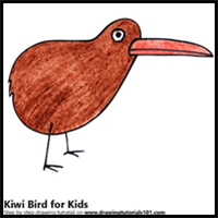 How to Draw a Kiwi Bird for Kids