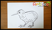 How to Draw a Kiwi