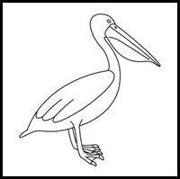 How to Draw a Pelican