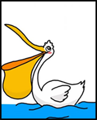 How to Draw a Pelican