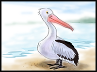 How to Draw a Pelican