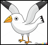 How to Draw Seagull, Birds