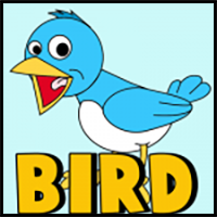 How to Draw Cartoon Birds with Easy Step by Step Drawing Tutorial 